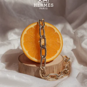 Hermes ai photography